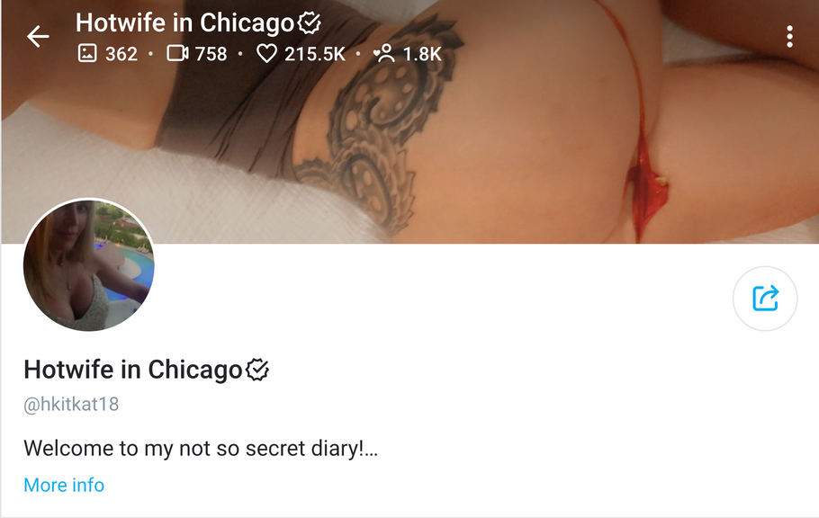 Chicago’s Finest - The Top 15 Chicago Onlyfans Accounts