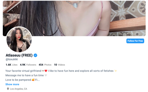Fantastic Fansly - The Top 20 Fansly Accounts With Top Fansly Girls in 2025