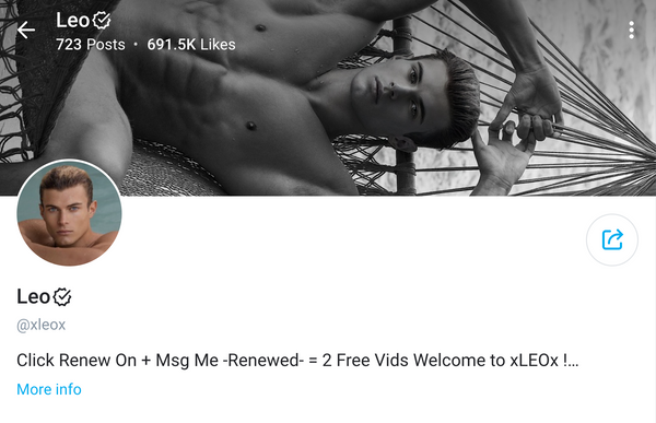 35 Best Gay OnlyFans Boys of 2024 (Top Male & Gay Only Fans)